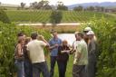【AUSTRALIAN WINETOURS】Yarra Valley Wine Experience (YVWE)