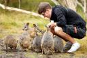 【Go West】 Phillip Island Penguin Parade Day Tour (General Viewing)