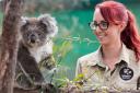 【Go West】 Phillip Island Penguin Parade Day Tour (General Viewing)