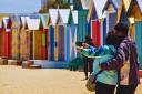 【Go West】 Phillip Island Penguin Parade Day Tour (General Viewing)