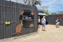 【Go West】 Phillip Island Penguin Parade Day Tour (General Viewing)