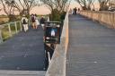 【Go West】 Phillip Island Penguin Parade Day Tour (General Viewing)